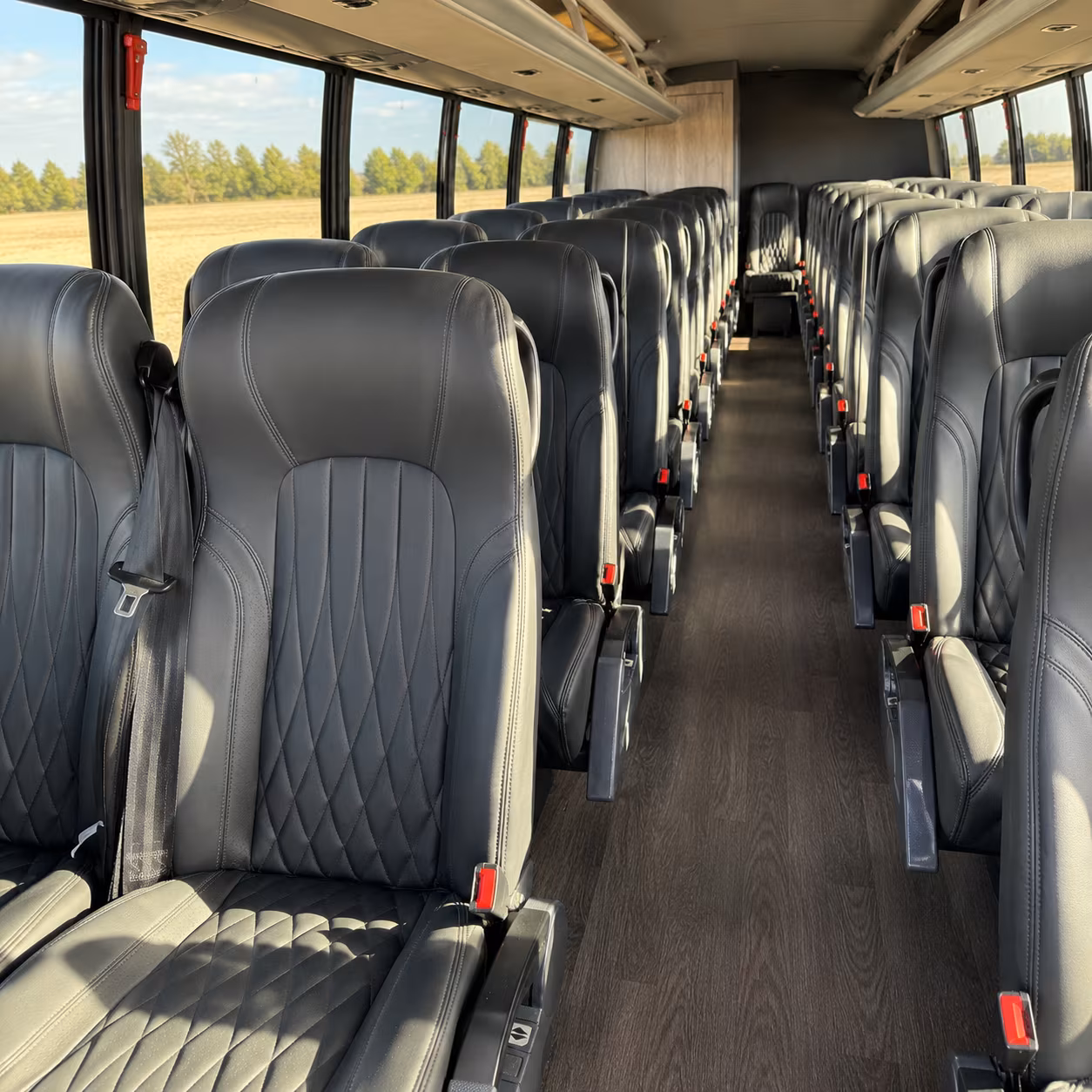 Palmdale School Event Transportation party bus exterior